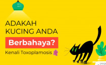 Kenali Toxoplamosis